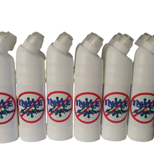 Intle Multipurpose Thick Bleach 12 Pack